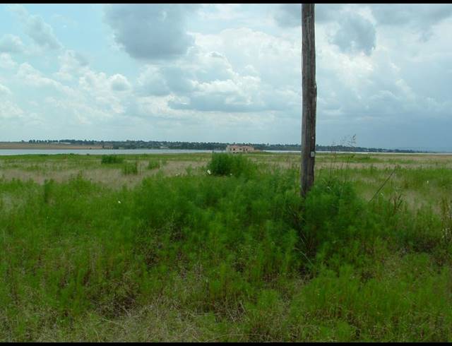 LAND FOR SALE IN DENEYSVILLE